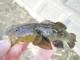 r�r�r�r�r�